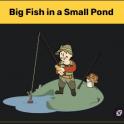 All Big Fish in a Small Pond [Bundle 19 Plans] + Advanced drag/Attractive hook/Improved bearing