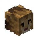 Level 100 Legendary Lion Pet | Hypixel  SKYBLOCK | Fast & Safe