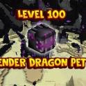 LVL 100 ENDER DRAGON PET (NO TIER BOOST)