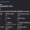 VIP / 7.36B NW / 36 CATA / 10 HOTM / 46 SA / 288 LVL SB / 60 MINING / VERY GOOD SLAYERS / MAIL