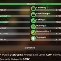 ✅❗️Solo-Coop | 26 SB lvl | 5 AVG | 3.60B NW | Full accept | Hypixel SkyBlock❗️✅