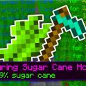Hypixel Skyblock Item ││Mythic T3 Turing Sugar Cane Hoe  ││ KurzFroge ││Quick, Fast, Easy!││