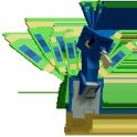 Peacock | Grow A Garden | Fast Delivery