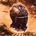 Peak of the Mountain (For Both Circle of Fortune & Merchant's Guild)