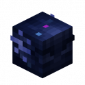 Celestial Wither Goggles Skin |  Hypixel  SKYBLOCK | Fast & Safe