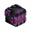 LVL 100 LEGENDARY ENDER DRAGON PET (no tierboost)