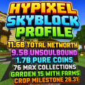 20% OFF⚡SKYBLOCK PROFILE ⚡ 9.5 BILLION UNSOULBOUND ⚡11.6 BILLION TOTAL ⚡1.7B PURE COINS