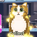 MEOWL SUPER RARE 500m/s SUPER RARE OG