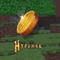 Hypixel Skyblock Coins [1 unit=10M] 38$ per Bill [Min 300M] Fastest Delivery-Fast Response