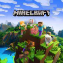 MVP+ Account Hypixel（Random Level and Item）MINECRAFT JAVA Edition