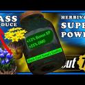 Black-Eyed Susan's Soothin [+2 HP(10s) +5% EXP, +10% DMG (1h)]