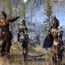 Guilds and Glory: The 4-DLC Mega-Pack - image