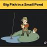 All Big Fish in a Small Pond [Bundle 19 Plans] + modifications to the fishing rod - image