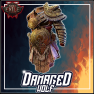 ⚜️ Hyrri's Ire Armoured Vest ⚜️ Fast & Safe Delivery! ⚜️ Dawn of the Hunt - image
