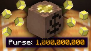 100M - SKYBLOCK COINS [$40/1B] Safe & Cheaper Than Getting Banned! - image