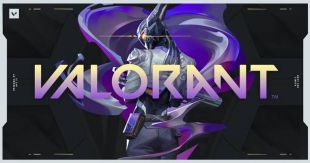 EU 295 Skins - Fist Bump Buddy + Champions 2021 Vandal + Champions 2021 Karambit +Champions 2022 + 2 - image