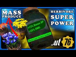 Black-Eyed Susan's Soothin [+2 HP(10s) +5% EXP, +10% DMG (1h)] - image