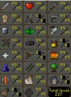 Max Infernal Main 2277 Total 290+ QP Multiples Max Capes Dizana's Quiver E Void x10 Rare Pets - image