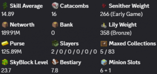 ✅❗️Solo-Coop | MVP+ | 23 SB lvl | 14.89 AVG | Cata 16 | 189.91M NW | Full accept | Hypixel SkyBlock❗ - image