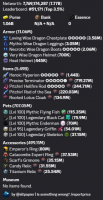 ⚡ HYPIXEL SKYBLOCK ISLAND / PROFILE WITH NETWORTH 7.77B (7.43B UNSOULBOUND) | 1% BAN RISK ⚡ - image